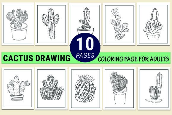 Cactus Coloring Pages for Adults: Graphics & Coloring Pages