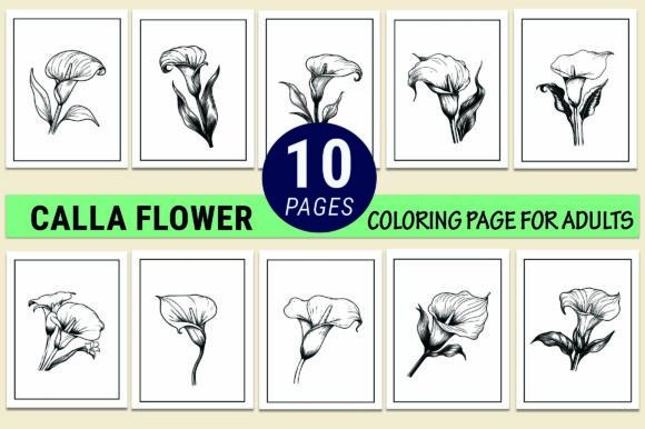 Calla Flower Coloring Pages Graphics