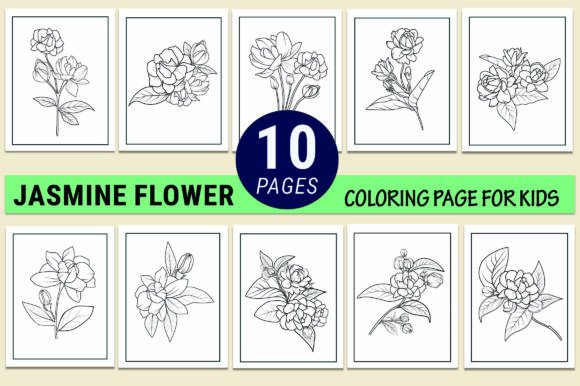 Hand Drawn Jasmine Flower Coloring Pages: Graphics & Coloring Pages