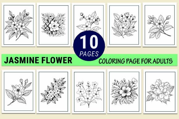 Jasmine Flower Coloring Pages for Adults: Graphics & Coloring Pages