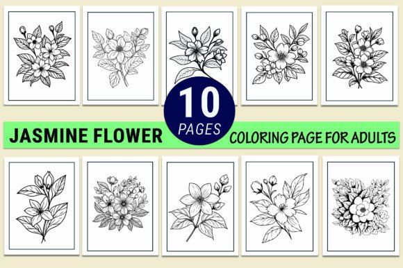 Jasmine Flower Drawing Vector Sketchs: Graphics & Coloring Pages