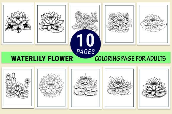 Waterlily Drawings Coloring Pages Adults: Graphics for Calm, Crafted Branding