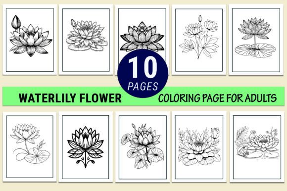 Waterlily Flower Coloring Pages & Graphics